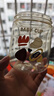 葆氏兒童牛奶杯學(xué)飲杯直飲喝水杯寶寶吸管杯PPSU材質(zhì)帶刻度330ML-熊貓 曬單實(shí)拍圖