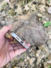 奉希適用apple蘋(píng)果15promax手機(jī)殼鈦金屬色裸機(jī)殼iPhone16pro散熱游戲保護(hù)殼金屬邊框殼13puls鈦合金14 【原鈦金屬色】 iPhone 15 Pro Max 曬單實(shí)拍圖