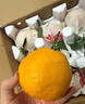 澤鮮達四川春見耙耙柑 新鮮柑橘丑橘子水果禮盒爆漿粑粑柑整箱 2斤裝 曬單實拍圖