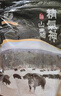 精氣神 國(guó)產(chǎn)無(wú)抗山黑豬肉餡750g 冷凍 約70%瘦肉餡 包子餡餃子餡肉丸子 曬單實(shí)拍圖