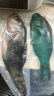 西沙海魚(yú)套餐青衣魚(yú)珊瑚礁魚(yú)類(lèi)石斑魚(yú)鯛魚(yú)海魚(yú)組合禮盒禮包2件9折 2件9折 西沙海魚(yú)套餐5斤（隨機發(fā)2~8條） 曬單實(shí)拍圖