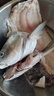 中心忠味 中山脆鯇魚(yú) 廣東脆肉皖魚(yú) 新鮮脆肉鯇鮮活現(xiàn)殺分割發(fā)貨火鍋食材 10斤整條（殺好凈重約7斤） 曬單實(shí)拍圖