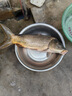 池王（chiwang） 可視魚(yú)桿全套高清探魚(yú)夜視水下帶攝像頭視頻魚(yú)竿釣魚(yú)器神器套裝 5.0來(lái)魚(yú)報警S1W3輪  軟包 曬單實(shí)拍圖