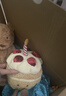 Jellycat趣味生日蛋糕可愛公仔食物毛絨玩偶送禮娃娃生日禮物520 趣味生日蛋糕 Medium 曬單實(shí)拍圖