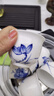 末都景德鎮(zhèn)陶瓷蘭花品茗杯手繪青花瓷功夫茶杯茶具白瓷茶盞小單杯 蘭款【60ML】 曬單實拍圖