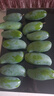 京鮮生 百色桂七芒 凈重8.5斤裝單果250g+ 生鮮水果源頭直發(fā) 曬單實(shí)拍圖
