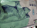 魯南順發(fā)沂蒙山黑豬 帶肉棒骨 2斤 慢養(yǎng)360天 筒骨帶骨髓烤肉煲湯食材  曬單實(shí)拍圖