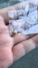 真愛?福如金禮物網(wǎng)紅黃金小金豆AU9999足金投資黃金豆豆實心真金豆子存錢 1g金豆（1 克）不帶證書送瓶子 曬單實拍圖