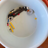 樂高（LEGO）積木拼裝機(jī)械組系列42181 重型貨運(yùn)太空船不可遙控玩具生日禮物 曬單實(shí)拍圖