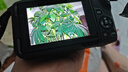 佳能（Canon）EOS R50 入門級(jí)微單反 半畫幅數(shù)碼相機(jī) 4k美顏小巧便攜 EOS R50(RF-S 18-45套裝）黑旅行版 官方標(biāo)配（贈(zèng)3期免息） 曬單實(shí)拍圖