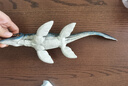 兒童玩具仿真動(dòng)物模型史前時(shí)代深海洋生物遠古巨獸認知魚(yú)擺件手辦 滄龍 曬單實(shí)拍圖