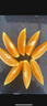 新奇士（Sunkist）澳大利亞進(jìn)口藍(lán)標(biāo)早臍橙4斤禮盒 單果180g起 新鮮水果 曬單實拍圖