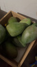 京鮮生 攀枝花凱特芒 凈重8.5斤 帶箱9斤 單果600g+ 生鮮水果 源頭直發(fā) 曬單實(shí)拍圖