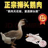 LZJV正宗潮汕獅頭鵝潮汕特產(chǎn)老鵝農(nóng)家散養(yǎng)大鵝現(xiàn)殺整只鵝順豐冷鏈發(fā)貨 整只現(xiàn)殺凈重15斤(帶腳翅心肝珍) 曬單實(shí)拍圖