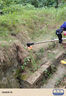 科邁克德國(guó)電動(dòng)割草機(jī)充電家用手持打草機(jī)鋰電草坪機(jī)割灌機(jī)農(nóng)用除草機(jī) 36VF旗艦6寸10節(jié)款（兩電兩充） 曬單實(shí)拍圖