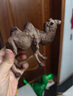 彌鹿（MiDeer）動物模型兒童仿真玩具寶寶禮物水陸野生動物園動物大套裝-15pcs 曬單實拍圖