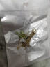 I精致蘭花項(xiàng)鏈女夏輕奢小眾高級(jí)感法式復(fù)古氣質(zhì)鎖骨鏈配飾 M96【鈴蘭花項(xiàng)鏈】 曬單實(shí)拍圖