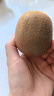 佳沛（zespri）綠奇異果特大果22-25個(gè)原箱裝單果約133-176g 水果禮盒獼猴桃 曬單實(shí)拍圖
