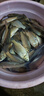 千壽（Qianshou） 千壽釣線(xiàn)野釣柔軟魚(yú)線(xiàn)釣魚(yú)線(xiàn)超強拉力尼龍線(xiàn) 子線(xiàn)【買(mǎi)二送二】 1.2 曬單實(shí)拍圖