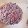 優(yōu)味集【順豐/JD】玫瑰釋迦果水果大目番荔枝當(dāng)季新鮮牛奶鳳梨釋迦整箱 2斤裝（老樹優(yōu)果）凈1.5斤 商超A+級果 曬單實(shí)拍圖