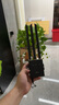 PLERY普銳R802插卡4g工業(yè)路由器百兆網(wǎng)口4G轉(zhuǎn)有線轉(zhuǎn)WIFI車載WIFI安防監(jiān)控充電樁售貨機(jī)廣告機(jī)停車場(chǎng)網(wǎng)絡(luò) 工業(yè)級(jí)插卡4G路由【聯(lián)通/電信/移動(dòng)/廣電全網(wǎng)通】 曬單實(shí)拍圖