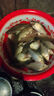 旋轉(zhuǎn)浮漂座銅頭魚漂坐萬向競技插漂坐座魚具漁具小配件釣魚具用 銅頭旋轉(zhuǎn)漂座（中號） 30枚 曬單實(shí)拍圖