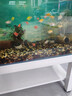 琪康天然鵝卵石溪流石魚缸鋪底砂水箱裝飾造景小石子原生豆石頭 溪流石：4-8mm10斤 曬單實(shí)拍圖
