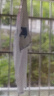 EP雅瑩女裝 醋酸珠光感短袖開(kāi)衫 V領(lǐng)涼感醋酸棉罩衫 2025夏季新款9153A 白色 M 曬單實(shí)拍圖