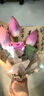 多美憶 生日?qǐng)鼍安贾媚泻⑴⑸諝馇蛱籽b裝飾豪華旺旺對(duì)氣球套裝含燈 曬單實(shí)拍圖