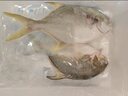 1號會員店（One's Member）甄選海南二去金鯧魚去鰓去內(nèi)臟生鮮魚類 海鮮水產(chǎn) 700g/2條裝 曬單實(shí)拍圖