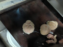 內蒙古正宗羔羊羊肚包肉新鮮羊肚羊肉兒童夏季火鍋生鮮食材批發(fā) 內蒙古羔羊原產肚包肉2斤 曬單實拍圖