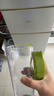 梵特（FANTE）冰箱冷水壺大容量涼水壺耐高溫冷萃壺冷萃杯冷泡壺冷泡杯茶漏茶杯 綠色 茶杯茶水分離杯 1100ml 1個(gè) 曬單實(shí)拍圖