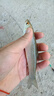 龍江源釣魚竿套裝組合全套海竿手桿垂釣漁具魚具用品新手初學(xué)者魚竿全套 5.4m +6.3米+7.2米+升級(jí)套裝 曬單實(shí)拍圖