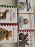 140元5件  DK觸摸書 英文原版繪本Baby Touch and Feel  嬰幼兒童英語啟蒙認知紙板書 0-3歲親子互動共讀早教益智 感官訓練繪本 DK觸摸書:洗澡時間 曬單實拍圖