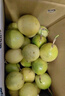 京鮮生 欽蜜9號(hào)黃金百香果 3斤凈重70g+/15-21個(gè)  生鮮水果 源頭直發(fā) 曬單實(shí)拍圖
