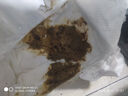 班尼小豬MVP紙尿褲拉拉褲小內(nèi)褲超薄輕柔干爽透氣尿不濕新生兒男女通用 班尼小豬拉拉褲XXL40片(mvp系） 曬單實拍圖