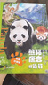 【官方自營(yíng)-京倉(cāng)直配】熊貓康吉的遠(yuǎn)行 四川教育出版社 蔣林 孩子你終將長(zhǎng)大 尋找真正的朋友繪本獨(dú)處篇交友篇識(shí)人篇 分寸漫畫版兒童 孩子你終將長(zhǎng)大：熊貓康吉的遠(yuǎn)行【抖音推薦】 曬單實(shí)拍圖