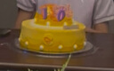 元祖（GANSO）8號獅子座蛋糕800g 動物奶油星座蛋糕 生日蛋糕同城配送當(dāng)天送達 曬單實拍圖