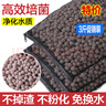 漁師傅魚(yú)缸過(guò)濾材料凈水火山石陶瓷環(huán)細菌屋活性炭生化球養魚(yú)烏龜陶瓷環(huán) 3斤促銷(xiāo)裝/石英球*中空培菌球*含網(wǎng)袋 曬單實(shí)拍圖