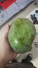 京鮮生 攀枝花凱特芒果 凈重4.5斤 單果600g 水果 源頭直發(fā)【搜生鮮館】 曬單實(shí)拍圖
