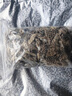 北京同仁堂蛇皮中藥材蛇蛻龍衣蛇皮長(zhǎng)龍皮蛇殼蛇退蛇皮中藥野生蛇皮 蛇皮250克 曬單實(shí)拍圖