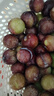現(xiàn)摘現(xiàn)發(fā)四川小脆紅李新鮮李子生鮮水果孕婦可食 單果15g+ 帶箱2斤 曬單實拍圖