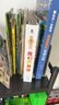 京東好書(shū) 神奇校車橋梁書(shū)版（全20冊(cè)）橋梁書(shū) 科普 百科 少兒 4歲 5歲 6歲 7歲 8歲暑假作業(yè) 一升二暑假銜接 小升初暑假銜接 曬單實(shí)拍圖