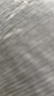 【原研進(jìn)口】施圖倫 七葉洋地黃雙苷滴眼液0.4ml*10支/盒 曬單實(shí)拍圖