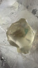 清苔鼠金苔鼠清潔魚(yú)熱帶觀(guān)賞魚(yú)清道夫鼠魚(yú)魚(yú)缸清理糞便除藻魚(yú) 11-13厘米金苔鼠10條(8+2備損) 金苔鼠 曬單實(shí)拍圖