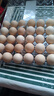 【無抗】大碼鮮雞蛋1.8kg 曬單實拍圖