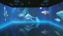 裸眼3d沉浸式全息投影硬件融合器體感墻地面互動(dòng)投影桌面畫(huà)面融合 沉浸式全息投影 曬單實(shí)拍圖