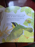 亮麗精美觸摸書-小兔比利（中英雙語）低幼認知繪本 幼兒啟蒙仿真觸感觸摸書 【0-2歲】 寶寶繪本  省錢卡暑假作業(yè) 一升二暑假銜接 小升初暑假銜接 曬單實拍圖