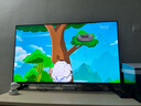 索尼（SONY）KD-55X80L 55英寸 高色域 智能 電視機 專業(yè)畫質(zhì)芯片 杜比視界 廣色域4K HDR 液晶 全面屏 55英寸 X80L 曬單實拍圖