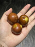 南步河北黃驊脆冬棗【順豐】孔店特產(chǎn)冰糖青棗脆甜大棗子冬棗新鮮水果 5斤 精選大果【約30顆/斤】 曬單實(shí)拍圖
